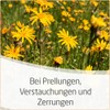 WELEDA Arnica Ointment 30% - Arnica Ointment Highly Concentrated -