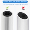 Hansing 0.2 Micron 4.5" x 10" Pleated High-density Carbon Block