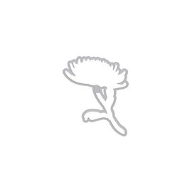 DI506 Hero Florals Mum Stem Frame Cuts (B)