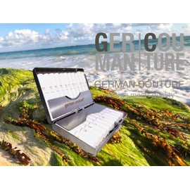 GC Stainless Steel Case Compatible with Iqos Sticks Terea Heets Iluma Prime One Originals - Accessories with Genuine Leather