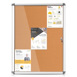EVERSUPPLY Enclosed Cork Bullletin Board 38x28 in, Tamperproof Display Case with Locking Door for Office School Home Store, Wall Mount, Silver Aluminum Frame (9xA4)