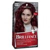 Schwarzkopf Buy Schwarzkopf Brilliance 43 Red Passion Online | Chempro Chemists