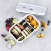 ZWILLING Fresh & Save Dinos Plastic Lunch Box Medium, Airtight