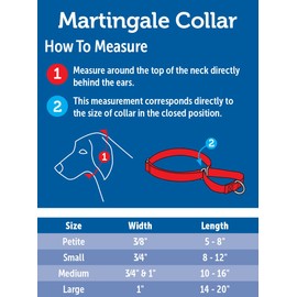 PetSafe Martingale Dog Collar, Alternative to Choke Collar