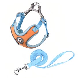 DICOCO Dog Harness, Summer, Nighttime Anti-Light, Small Dogs, Breathable, Cute, Medium Dogs, Pull Prevention, Chihuahua, Walking, Adjustable, Stylish, Popular Torso, Orange Blue, C, L