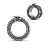 COOEAR Gauges for Ears, Dragon Steel Tunnels Flesh Earring, Stainless
