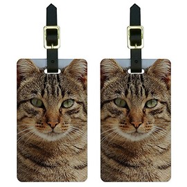 Graphics & More Brown Tabby Cat Face Luggage Tags Suitcase Carry-on Id, White