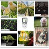 NEKOSUKI Digital Temperature Controller, LCD Screen Heating Cooling Reptile Thermostat