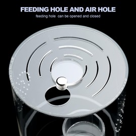 Jumping Spider Enclosure Starter Kit with Feeding Dish, Tarantula Terrariums Cribs for Mantis Snails Ladybugs Insect, Micro Habitat Cage Accessories