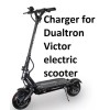 coming data smart fast battery Charger 60v 3a for Dualtron
