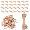 100 Pcs Mini Wooden Pegs, 2.5 cm Small Mini Pegs