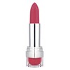 Parisax Pro Rouge Grenade Matte Lipstick