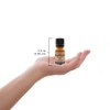 Cinnamon Leaf 100% Pure Essential Oil - 10 ml