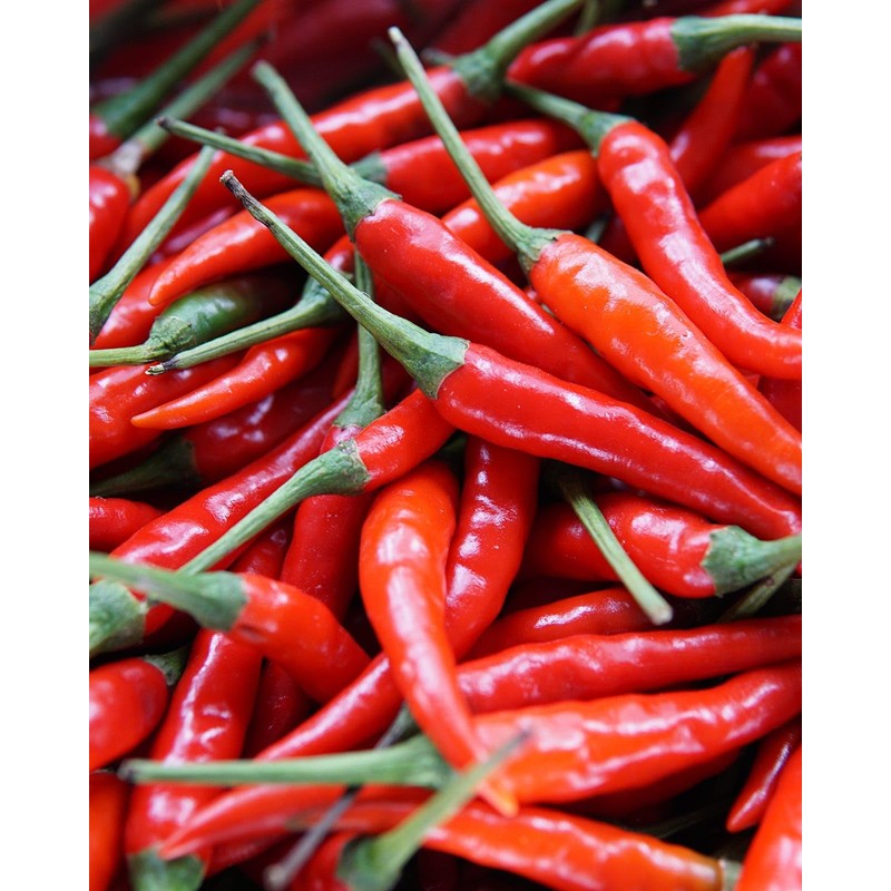Trend Organic Ground Cayenne Pepper 500g - Certified Organic Cayenne