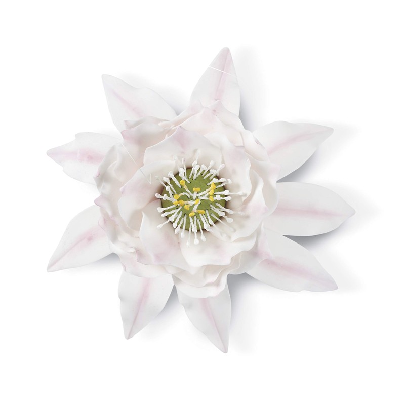 Wilton Gum Paste Succulents Cut-Outs Set, 9-Piece