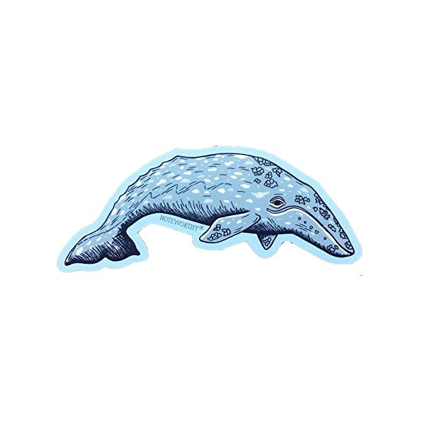Gray Whale Sticker