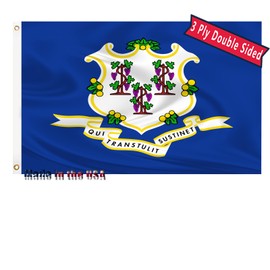 Connecticut State Flag 3x5 Outdoor Double Sided 3 Layers Polyester State of Connecticut Flags Sewing 4 Rows of Thread with Durable Canvas Header and Brass Grommets Connecticut Decor for Indoor Wall Room