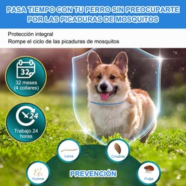 RYEWGRV 4 Pieza Collar con Hebilla, 65CM/26.6in (Azul)