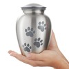 Reminded Pet Cremation Urns for Dog and Cat Ashes, Memorial