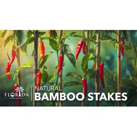 Bamboo Stakes | 25 Pack 4 ft | Garden Supports | Natural Poles for Climbing Plants | Training Tools for Vines Vegetables Flowers Trees | Indoor Outdoor Accessories