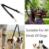 Adjustable Double Pet Trainer Leash - No Tangle Dog Walking