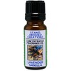 Concentrated Fragrance Oil - Scent - Lavender Vanilla- Herbal Lavender