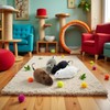 WLSuDHoncc Furry Mice Cat Toy Wind Up Realistic Mouse Toys