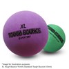 SPORTSPET XL Tough Bounce Natural Rubber Dog Balls - Highly