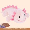 Heatable & Coolable Pink Axolotl Plush, Microwavable Heating Pad Stuffed