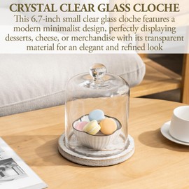 MyGift 6.7 Inch Small Clear Glass Cloche Dome with Shabby White Washed Weathered Solid Wood Tray for Dessert, Cheese and Merchandise Display Case
