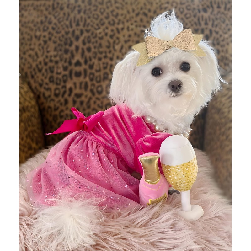 Fitwarm Fancy Dog Tulle Dress, Dog Winter Clothes for Small