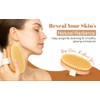 DSG PRO Firm Exfoliating Body Brush – Beech Wood &