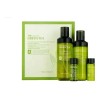 Set de Skincare Tonymoly The Chok Chok Green Tea para
