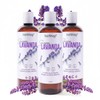 NATSHOP | Kit 3 Shampoos Naturales de Lavanda y Vitamina