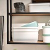 Springlane Set of 2 Ice Containers, 1 Litre, BPA-Free, Food