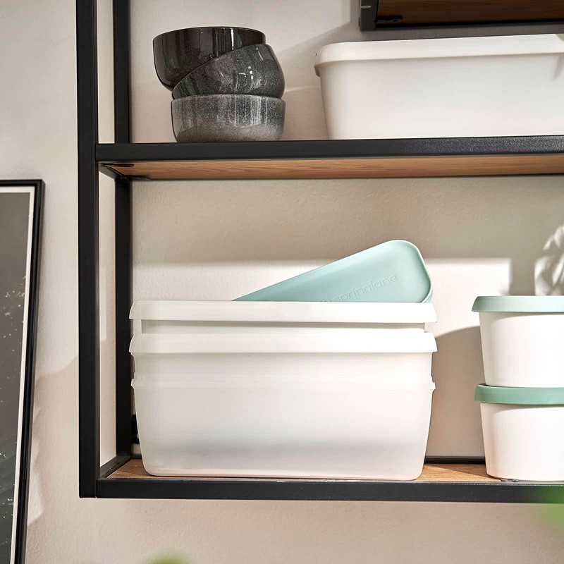 Springlane Set of 2 Ice Containers, 1 Litre, BPA-Free, Food