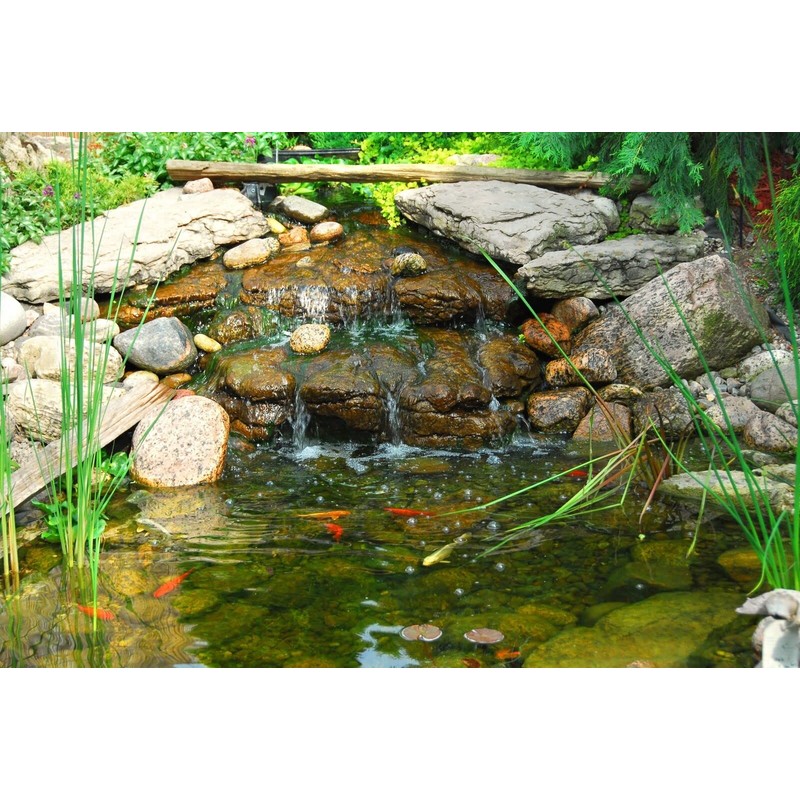 HALF OFF PONDS LumiNight Pond and Landscape Lighting - RGB