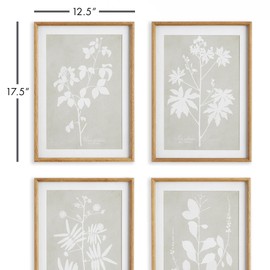 Napa Home & Garden Foliage Study Set of 4: Elegant Prints on Taupe Beveled mats Warm Wood Frames Perfect for Sophisticated Home Decor. Grey