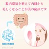 Yamada Apiary RJ Royal Jelly Detox Beauty (2g x 31