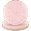 Blue Sky Organic Hammered Pink Gold Rim Plates - 10