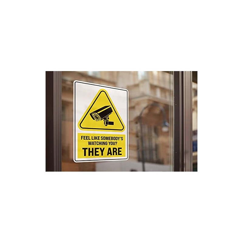 2 x 25cm Tall Funny Security Camera Sign Vinyl Stickers
