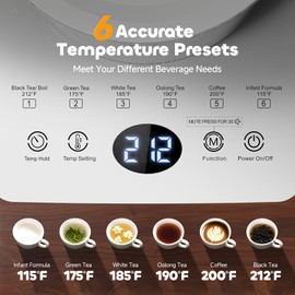 Electric Tea Kettle with Infuser, 1.5L Glass Water Boiler with Temperature Control, 24H Keep Warm & Auto Shut-Off, White