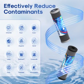 ICEPURE 2.5"x 10" Whole House CTO Carbon Water Filter Combo Kit, 10 Inch Carbon Block Cartridge and Upgraded Coconut Shell Activated Carbon Lead Remove Filter Replacement for WFPFC9001, SCWH-5, 1PACK