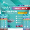 Electrolyte Powder Sugar-Free Hydration Packets Variety Pack HydroMATE 30 Sticks
