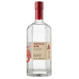 Antolo Gin - Ginebra Oaxaqueña 750 ml | Artesanal | Botánicos de Oaxaca | New Western Dry Gin | Filtración sobre Carbón de Encino