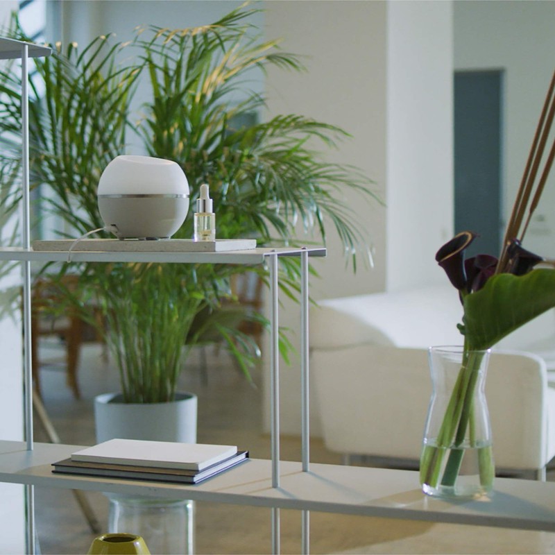 Millefiori,7FIMW,Fleur AA8de Magnolia& Bois Duftöl,Glas, klar, 15ml