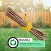 Andalus Twist Rubber Ties, 17-Inch Long, Assorted Colors, Reusable Twist