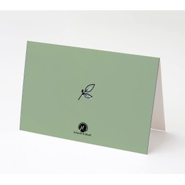 Market On Mainstreet Passover Greeting Cards w/Envelopes, 25 Cards and Envelopes, Made in the USA (Chag Pesach Sameach)