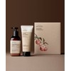 Beyond Total Recovery Basic Set