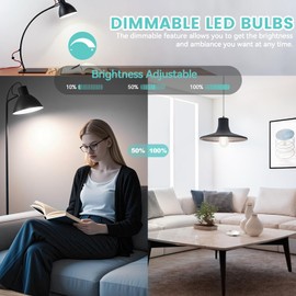 Brightever Dimmable LED Light Bulbs 60W Equivalent, 4000K Cool White Edison Light Bulb, 7W, 850LM Vintage E26 Base Bulb, 90+CRI, ST58 Clear Glass Antique LED Filament Bulbs for Bathroom, 6-Pack